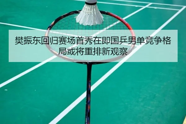 樊振东回归赛场首秀在即国乒男单竞争格局或将重排新观察